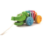 Rainbow Alligator