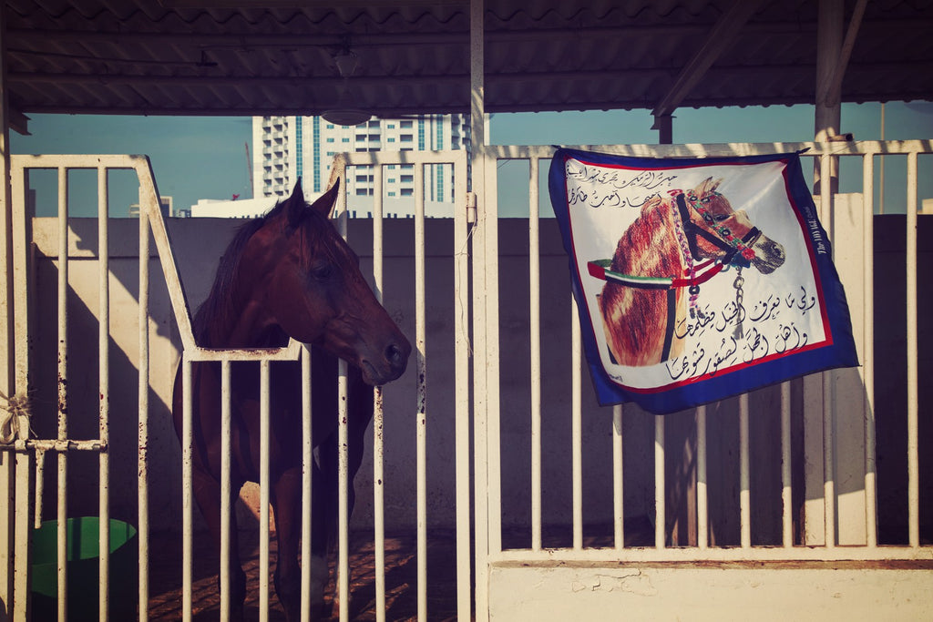 For the Love of Horse Scarf