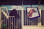 For the Love of Horse Scarf