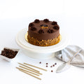 Chocolate Hazelnut Cake
